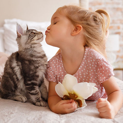 girl kissing cat on bed
