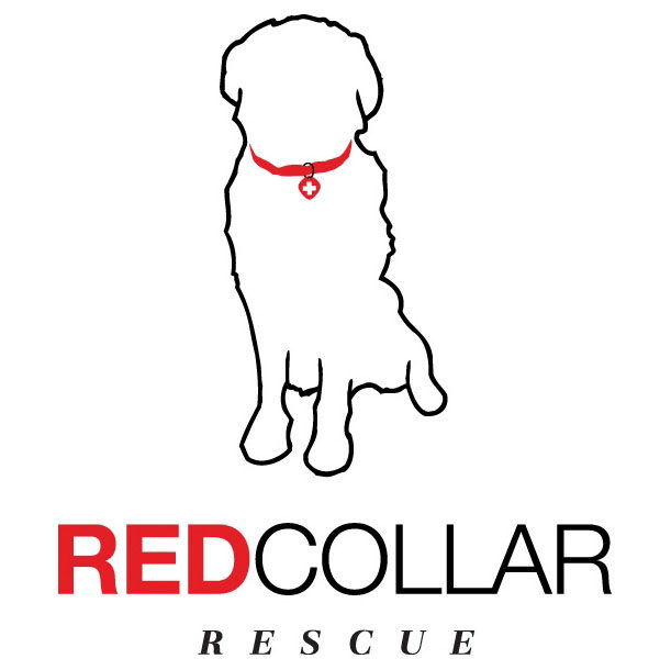 red collar rescue